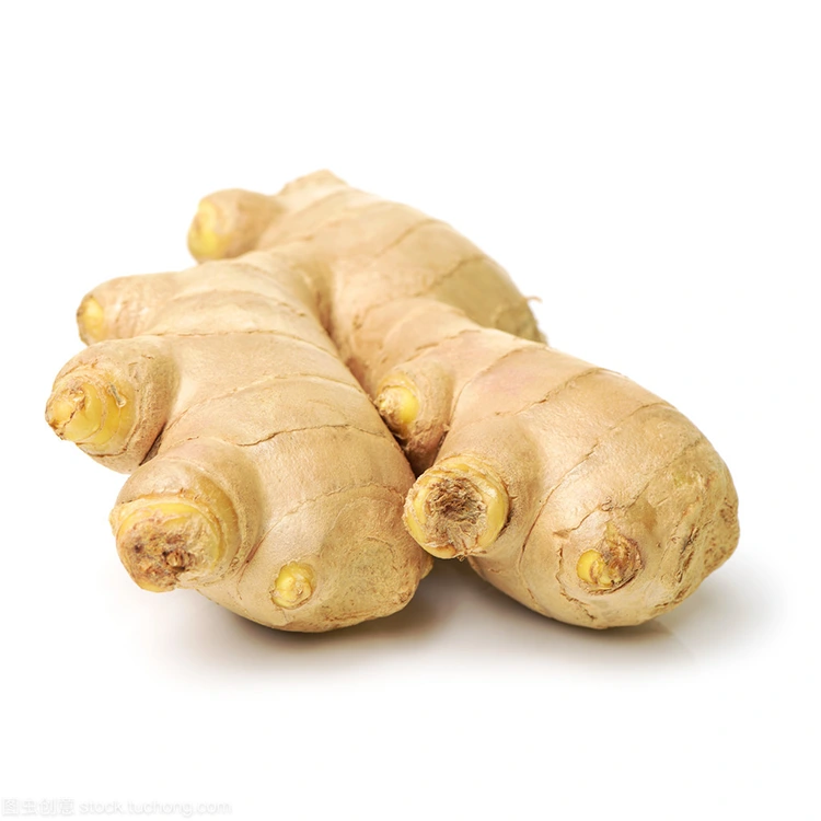 Cén fáth a bhfuil Premium Fresh Ginger mar an Rogha is Fearr do Cheannaitheoirí Feasacha Cáilíochta?