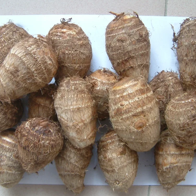 Taro Fresh Field