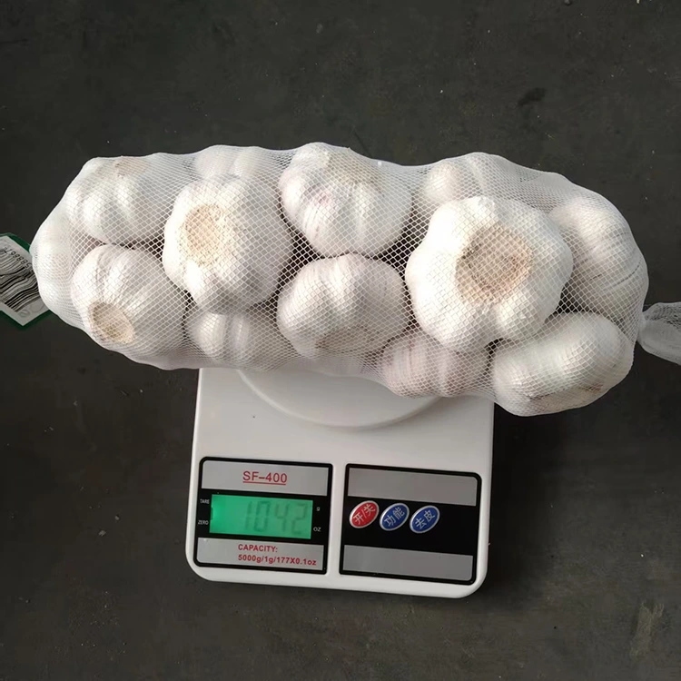 Premium Firm and Plump Normal White Garlic