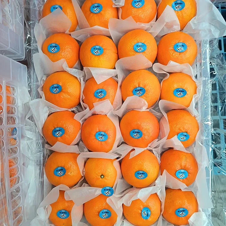 Mandairínis Wogan Sweet Fresh Préimh
