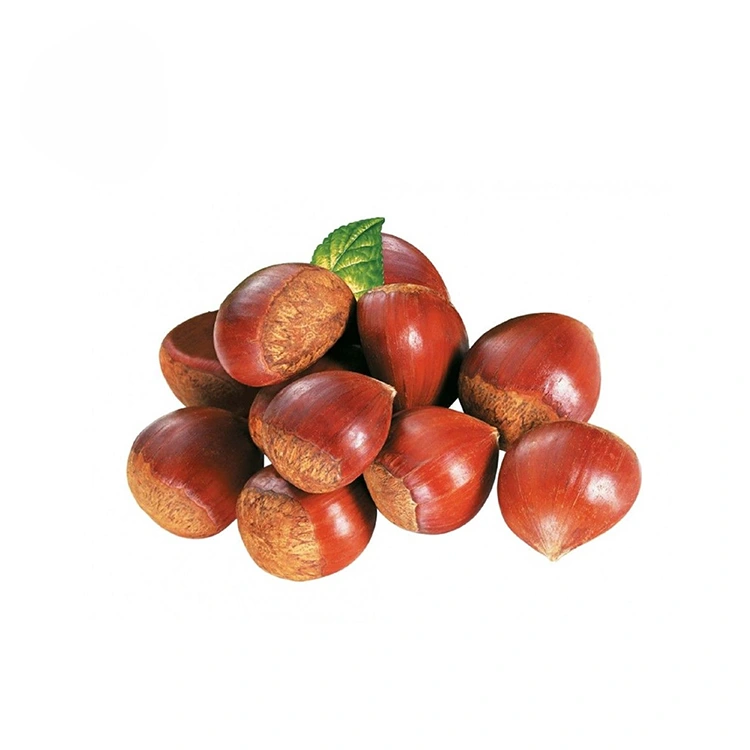 Chestnuts Cáilíochta Préimh