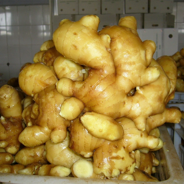 Sinséar Aramatacha spicy Fresh