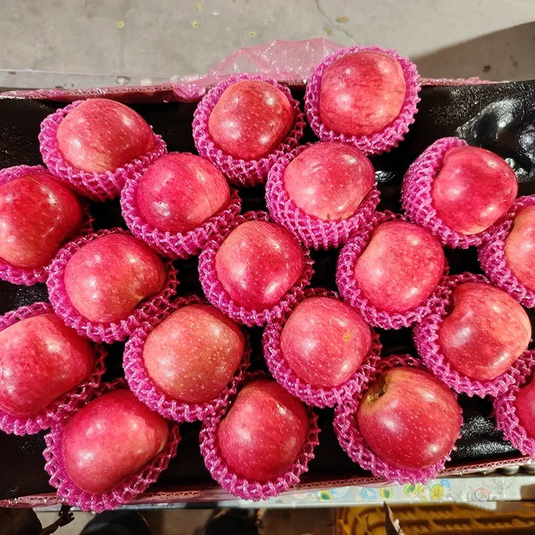Úlla Jiguan Úra Superior